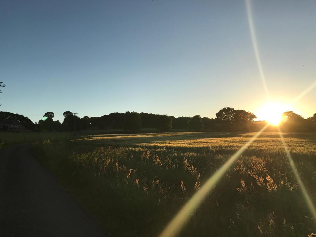 Saint-Malon-sur-Mel Les Bouyeres Bed & Breakfast エクステリア 写真